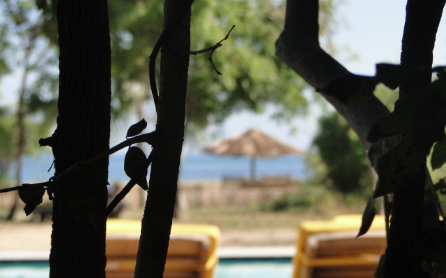 Giman Free Beach Resort Hotel
