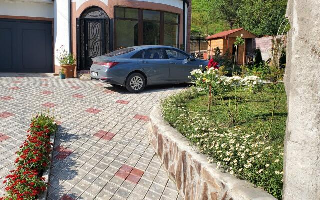 Dioscuria Borjomi Guest House