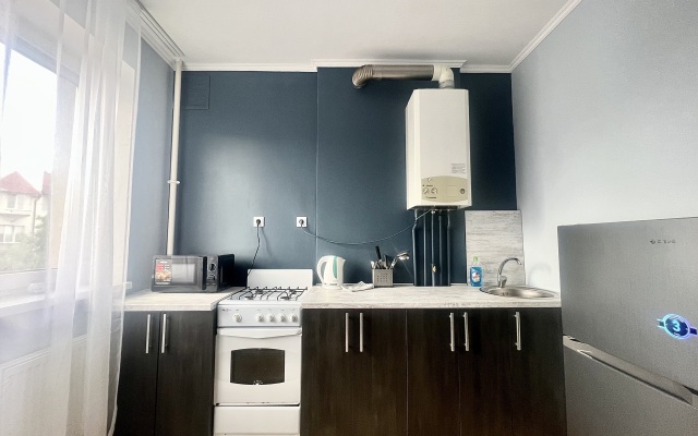 Yuzhny Vokzal Apartments