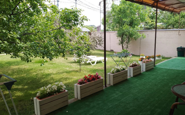 Artem Guest House