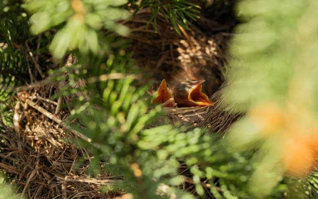 Гостевой дом Эко-отель Агдам