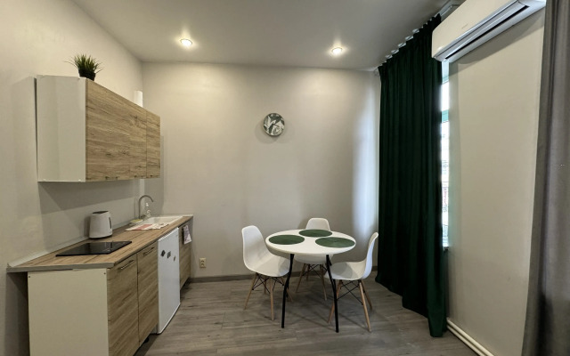 Studiya v tsentre goroda Flat