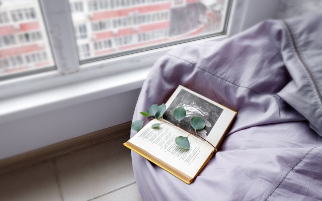 Квартира в Фестивальном