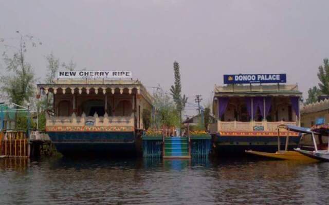 Houseboat Donoo Palace Hotel