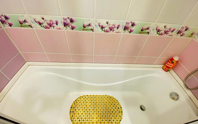 Апартаменты с 2 комнатами и видом на город (Квартира51)