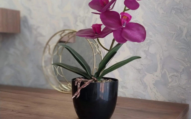 Квартира Цвет настроения -Синий