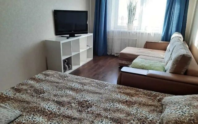 1-Komnatnaya V Tsentralnom Rayone Flat