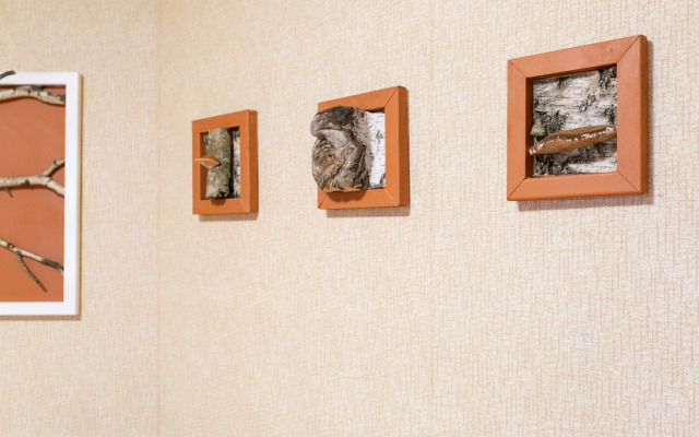 Квартира Просторная Березовый Сок у Метро