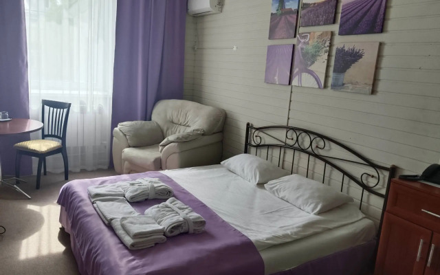 Hotel Gostiny Dvor