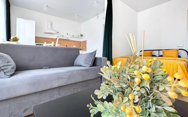 Квартира Большая студия для 4х гостей в Гости