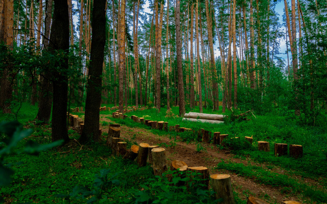 Paporotnik Recreation camp