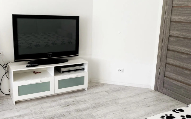 Turgenev Apartment In Zelenogradsk Apartments