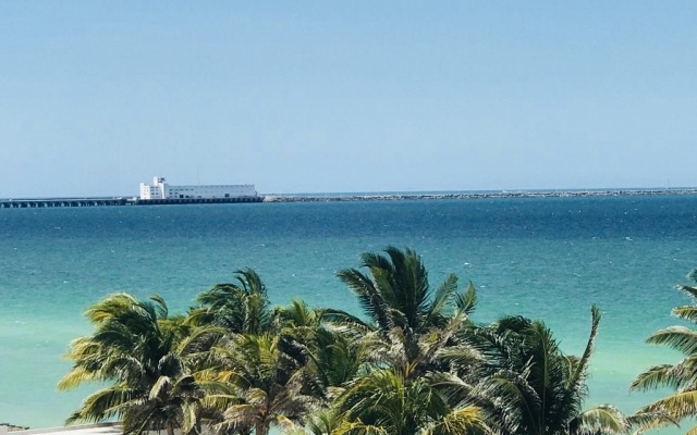 AMA Yucatan Apartments