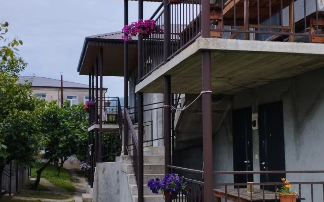 Abaza Guest House