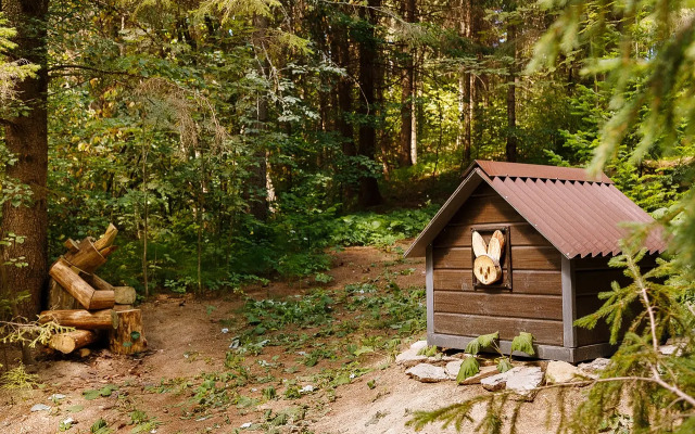 Opushka Dom Sredi Derevyev Glamping