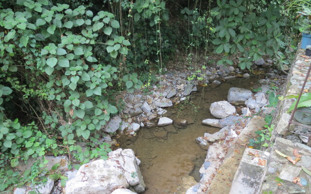 Отель Casa Verde Xilitla by Rotamundos