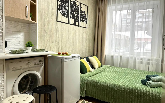 Квартира Студия 100 метров от метро