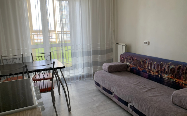 Квартира однокомнатная до СИБГАУ 15 минут пешком