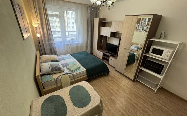 Квартира на Ветеранов 171к5