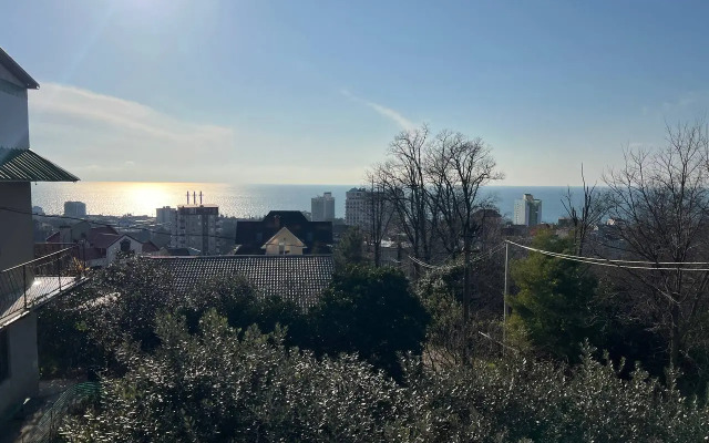 Квартира в Сочи на Белых акаций