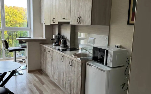 Дайкири — апартаменты с панорамными окнами и видом на озеро Тихое