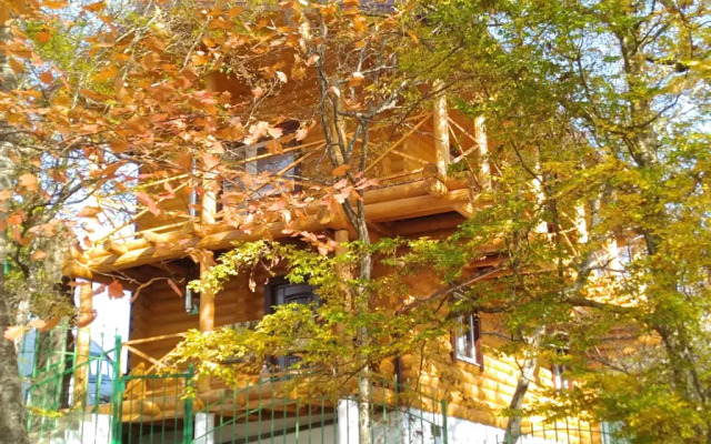 Brevenchatyij Guest House