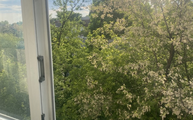 Uyutnaya V Tsentre Goroda Shakhty Flat