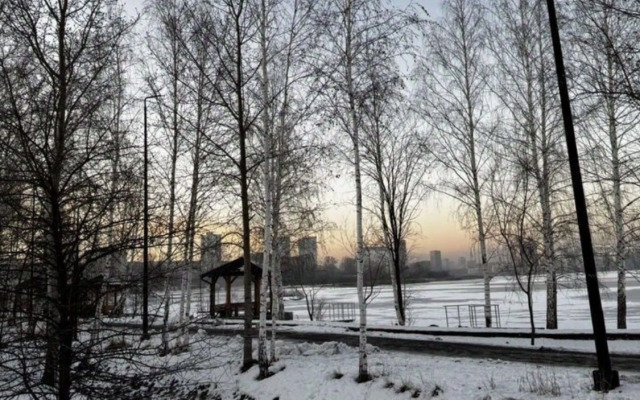 Квартира 1 комнатная квартира