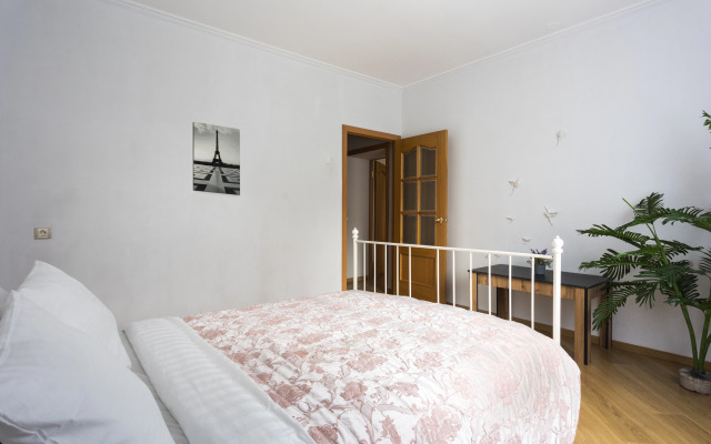 Квартира на Чаплыгина 98