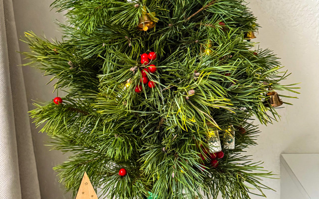 Апартаменты на Чкалова после ремонта, 2 комнаты: гостиная и спальня