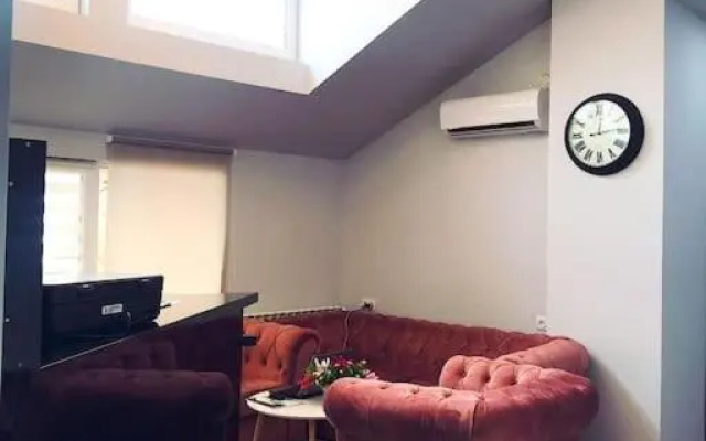 Rooftop Apartments at Rustaveli Avenue Mini hotel