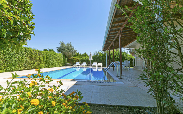 Paradise Town Hazel Villa