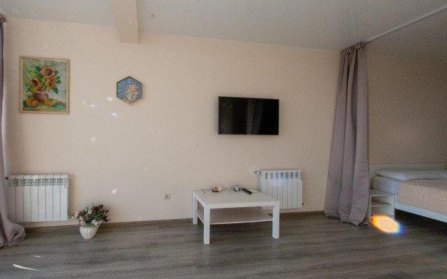 Апартаменты Видовая студия на Горной