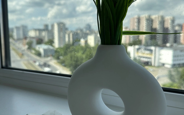 Kvartira Svetlaa studia s panoramoj centra