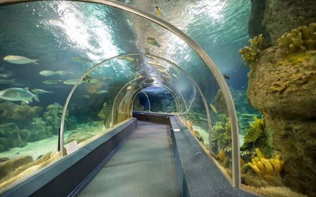 Aqua Life Guest House