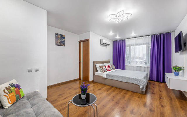 Квартира на Площади Тысячелетия