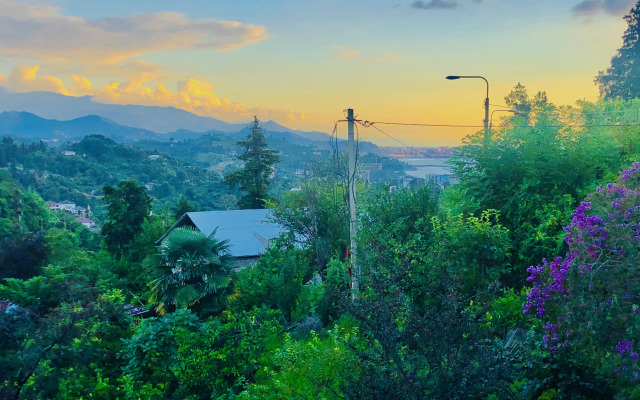 Отель Holiday House Green Gape Batumi