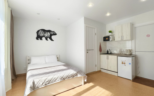Uyutnye apartamenty 1spring Apartments