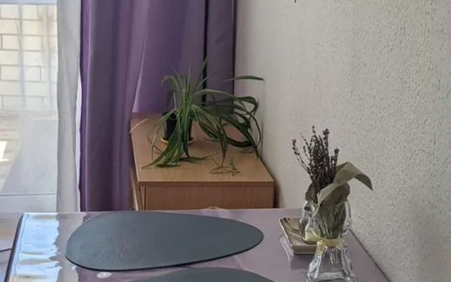 Квартира на Каменской Улице 103