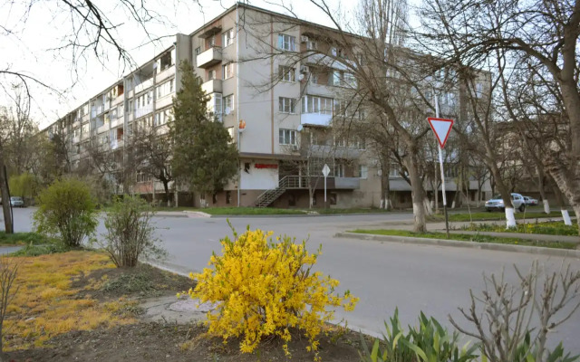 Flat  v Tsentre ryadom Rark