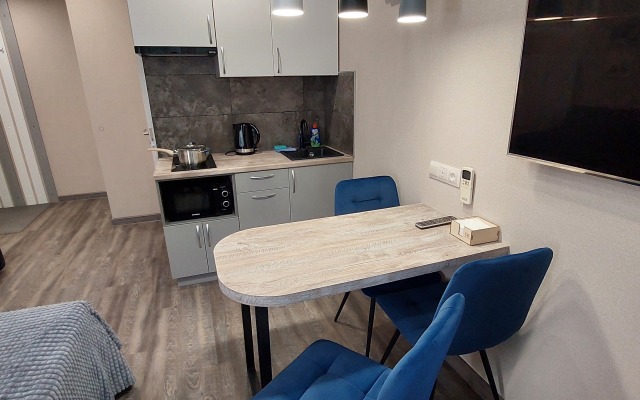 Sv Shveynikov studiya 1 Apartments