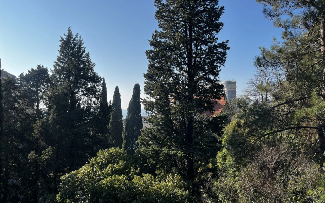 Апартаменты Светлана 2