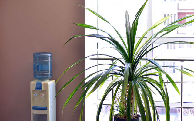 Отель Званица