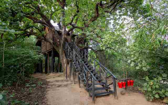 Жилое Помещение Pugdundee Safaris - Tree House Hideway