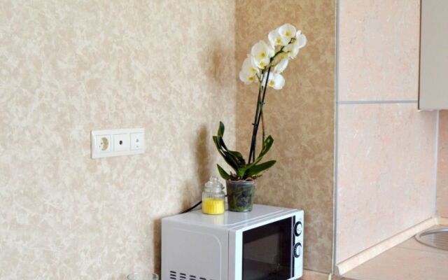 S Vidom Na Istoricheskiy Tsentr Apartaments
