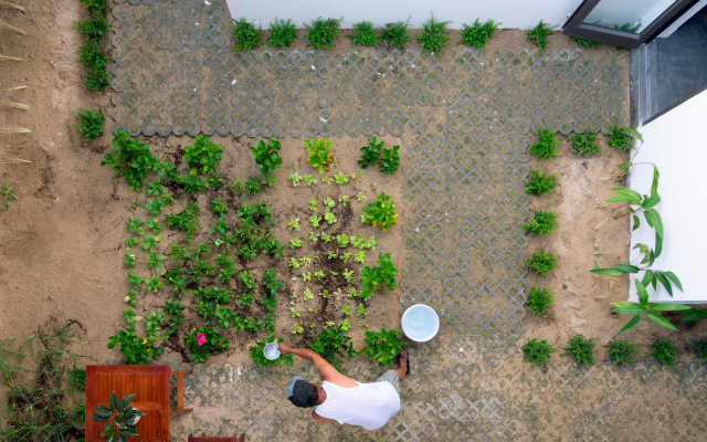 Plants Garden Villa