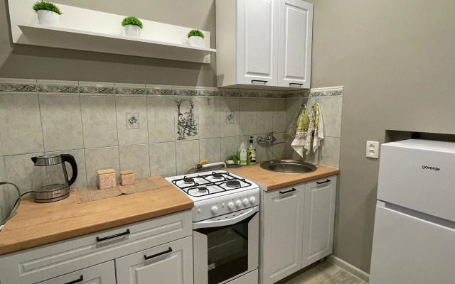 Dvukhkomnatnaya v tsentre Flat