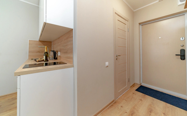 Апартаменты Уютная студия 1743