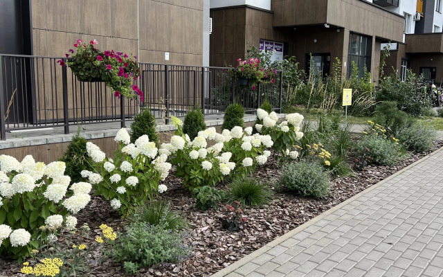 Апартаменты  Sky view евродвушка на Петровщине