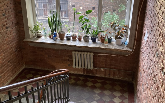 Mineralnaya 29 Hostel